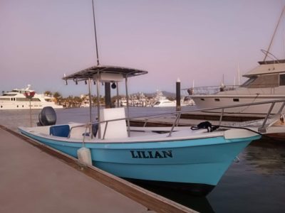 AoSXaTT0fXeoElQ9kusb9mSx3k8jRmZfp8I6XWYc